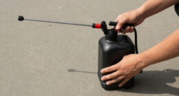 10 Best Backpack Sprayer Battery Powered in 2026