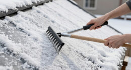 13 Best Roof Rake for Snow in 2026
