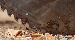 increased damage and cost