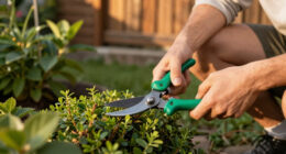 14 Best Garden Tools in 2026