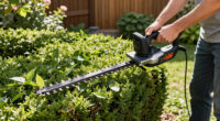 13 Best Cordless Hedge Trimmers in 2026