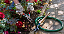 15 Best Rose Garden Tools for Pruning and Thorn Protection in 2027