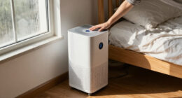 I Tested A Smart Dehumidifier In My Damp Bedroom – And The Results Surprised Me